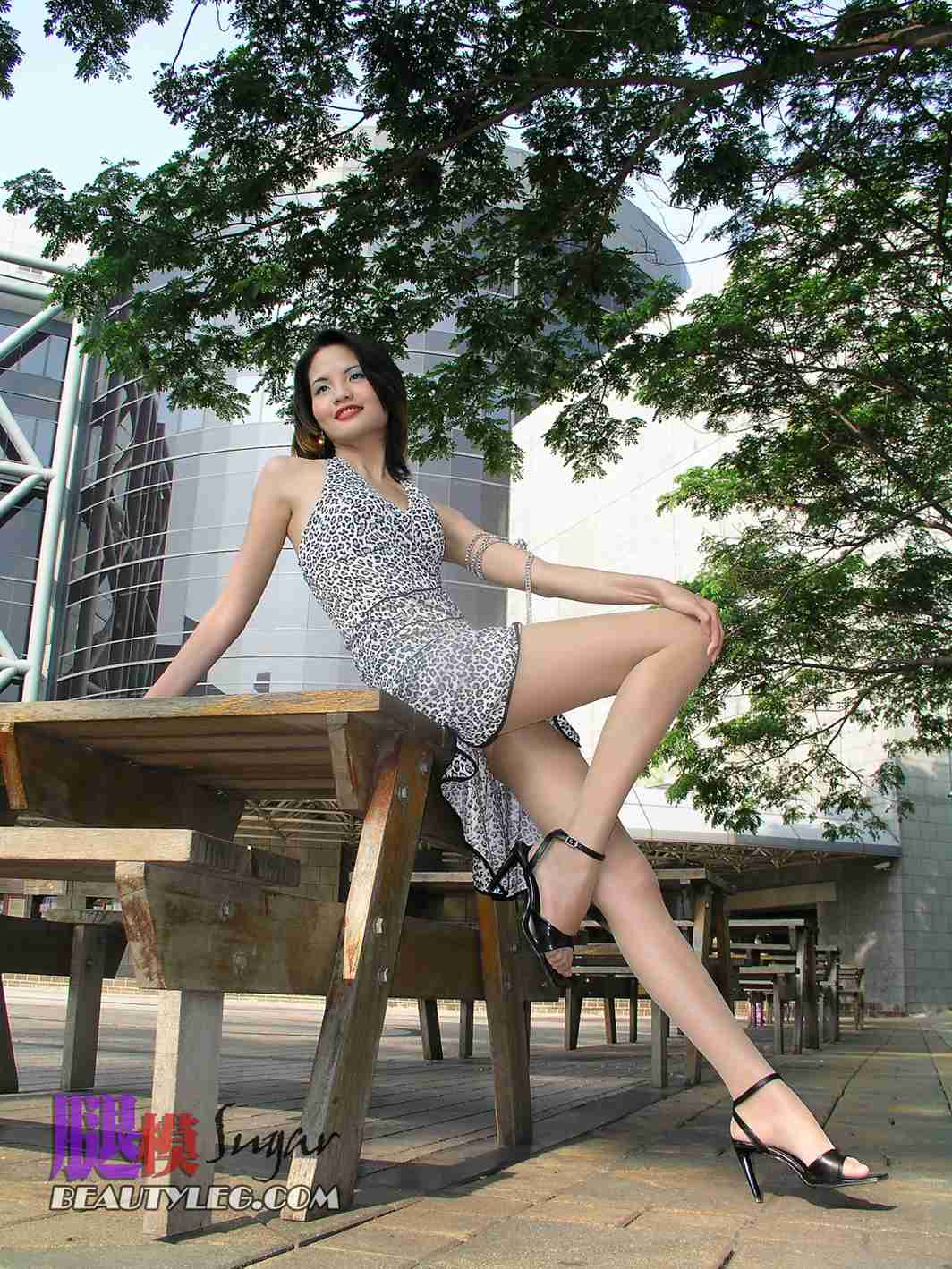 [BeautyLeg] No.019 Sugar 在现浏览第19张