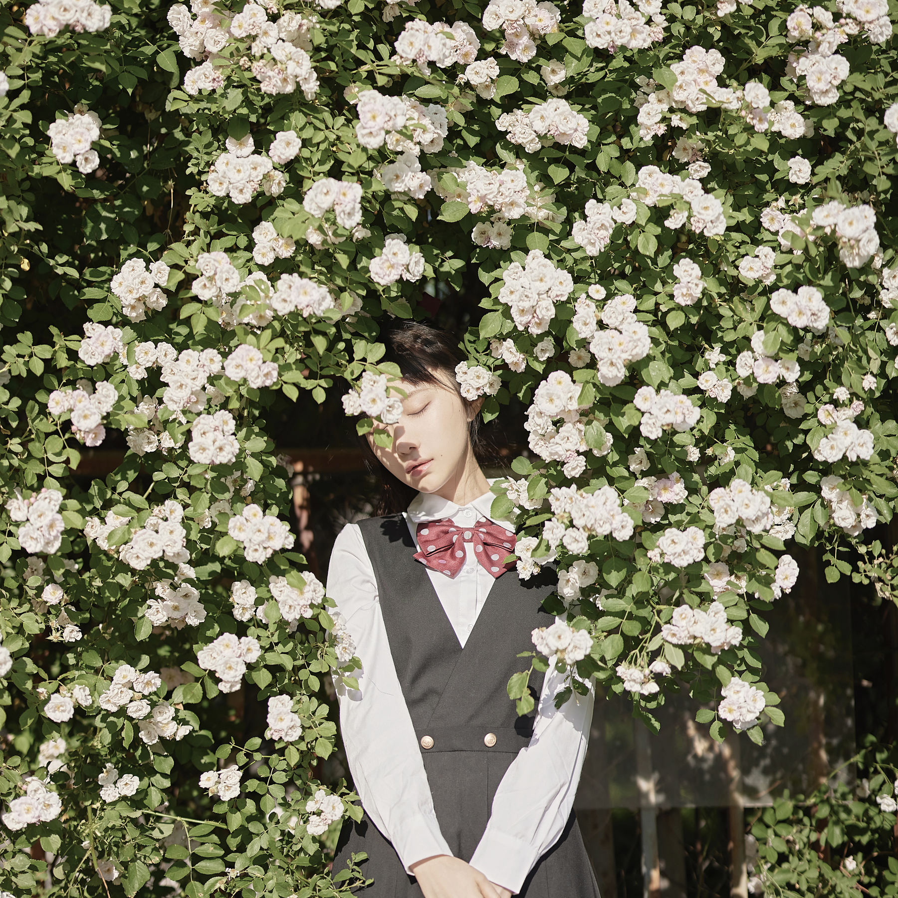 [福利COS] Shika小鹿鹿 - 蔷薇JK第5张