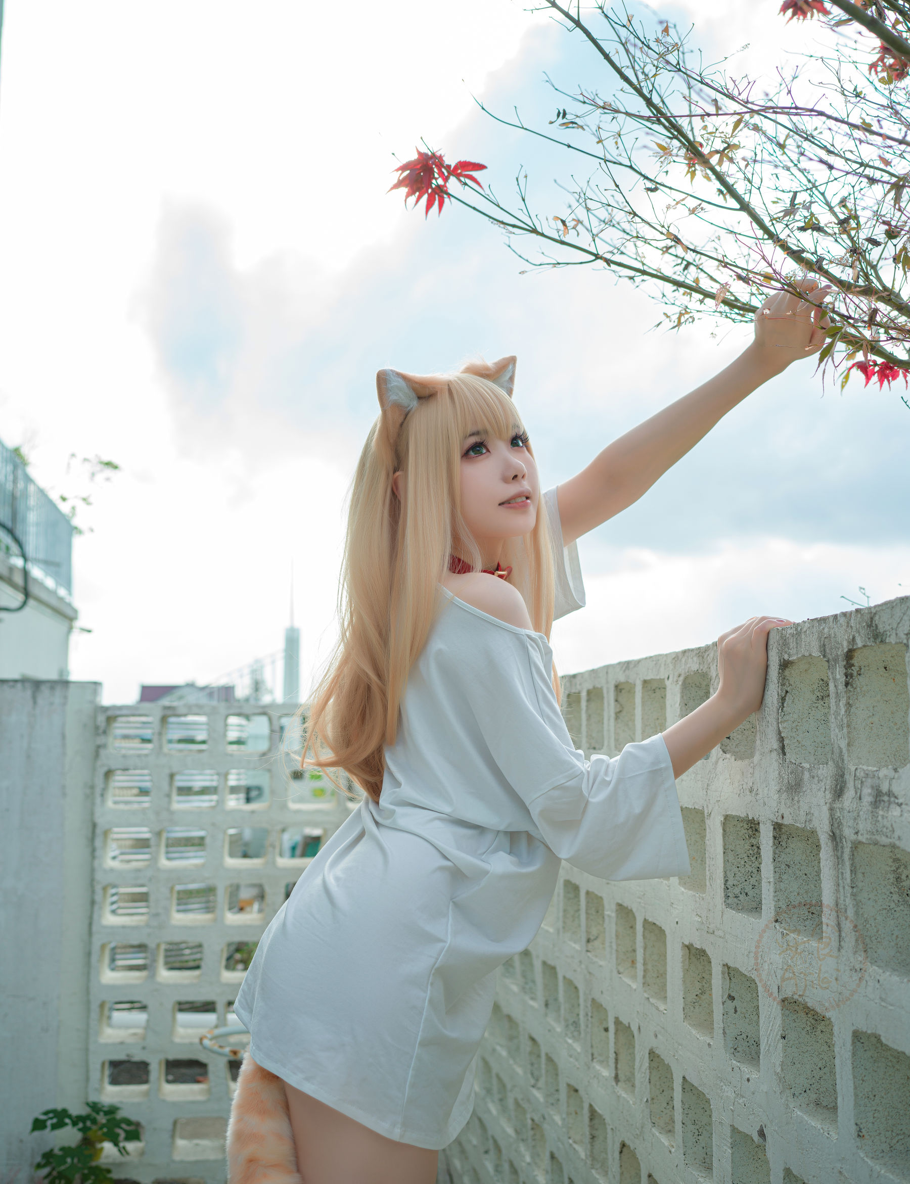 [福利COS] 安食Ajiki - 黄豆粉第5张