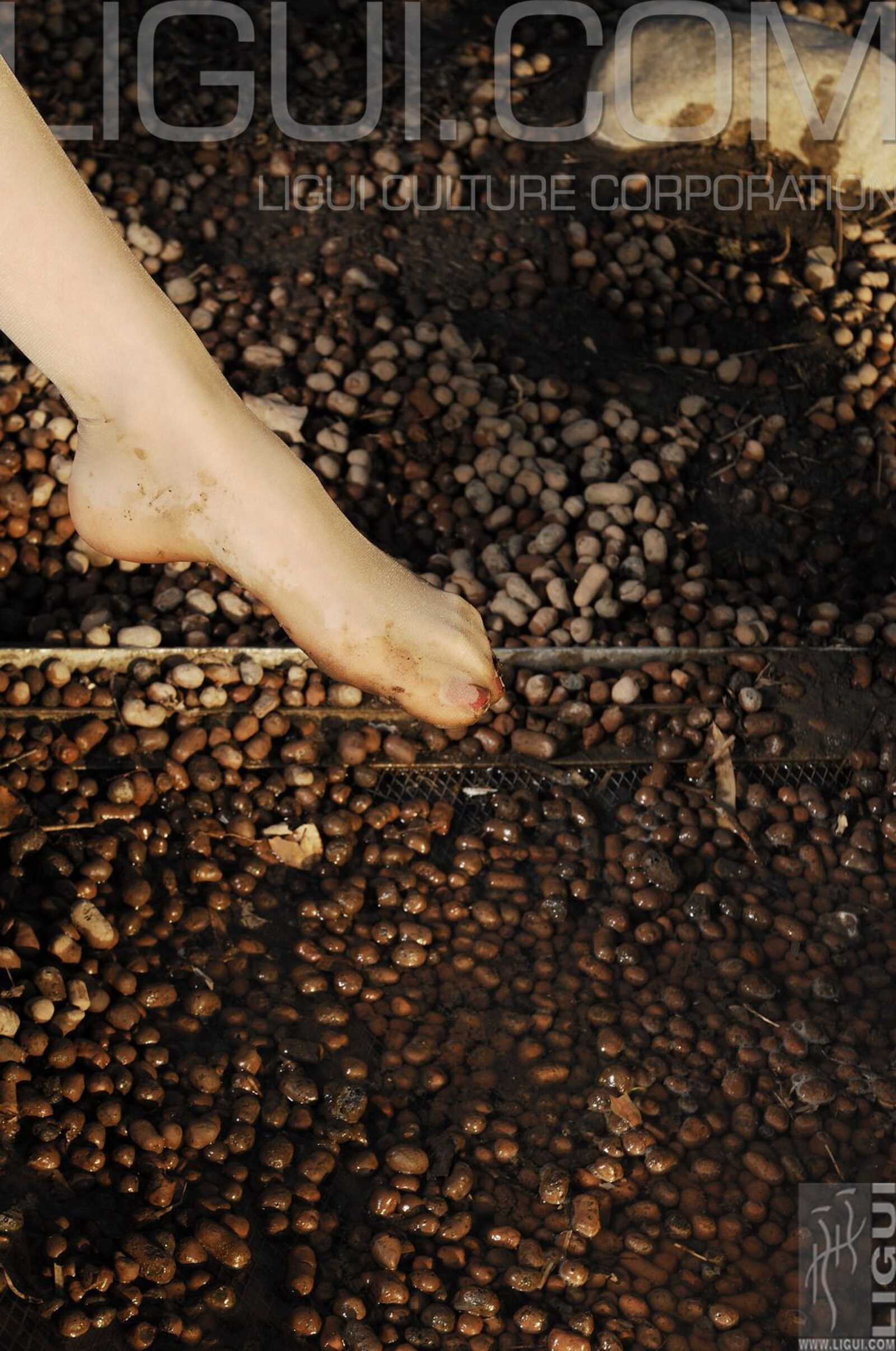 [丽柜LiGui] Model 海伦《春天來了》丝足写真图片第6张