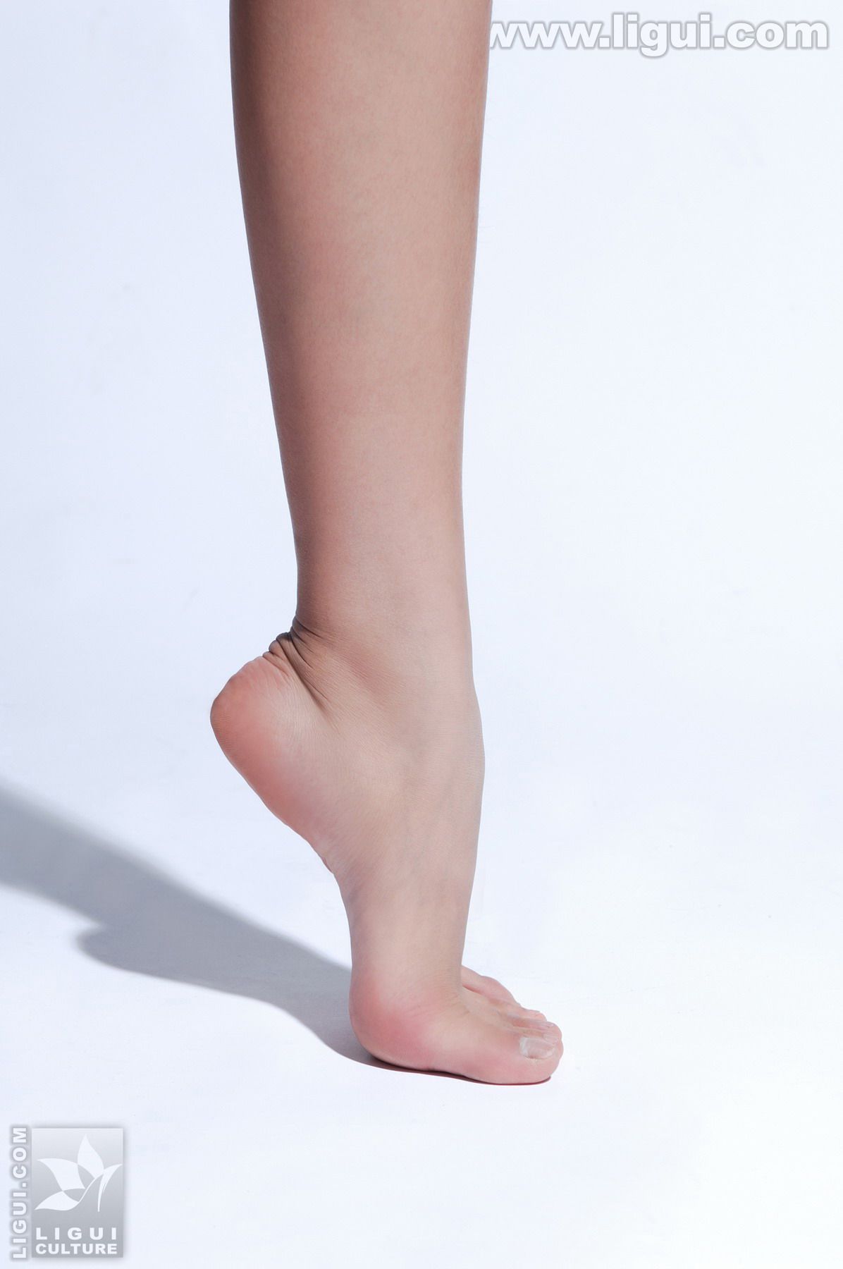 [丽柜LiGui] Model 王玉《黑丝美女新丽人》美腿玉足第1张