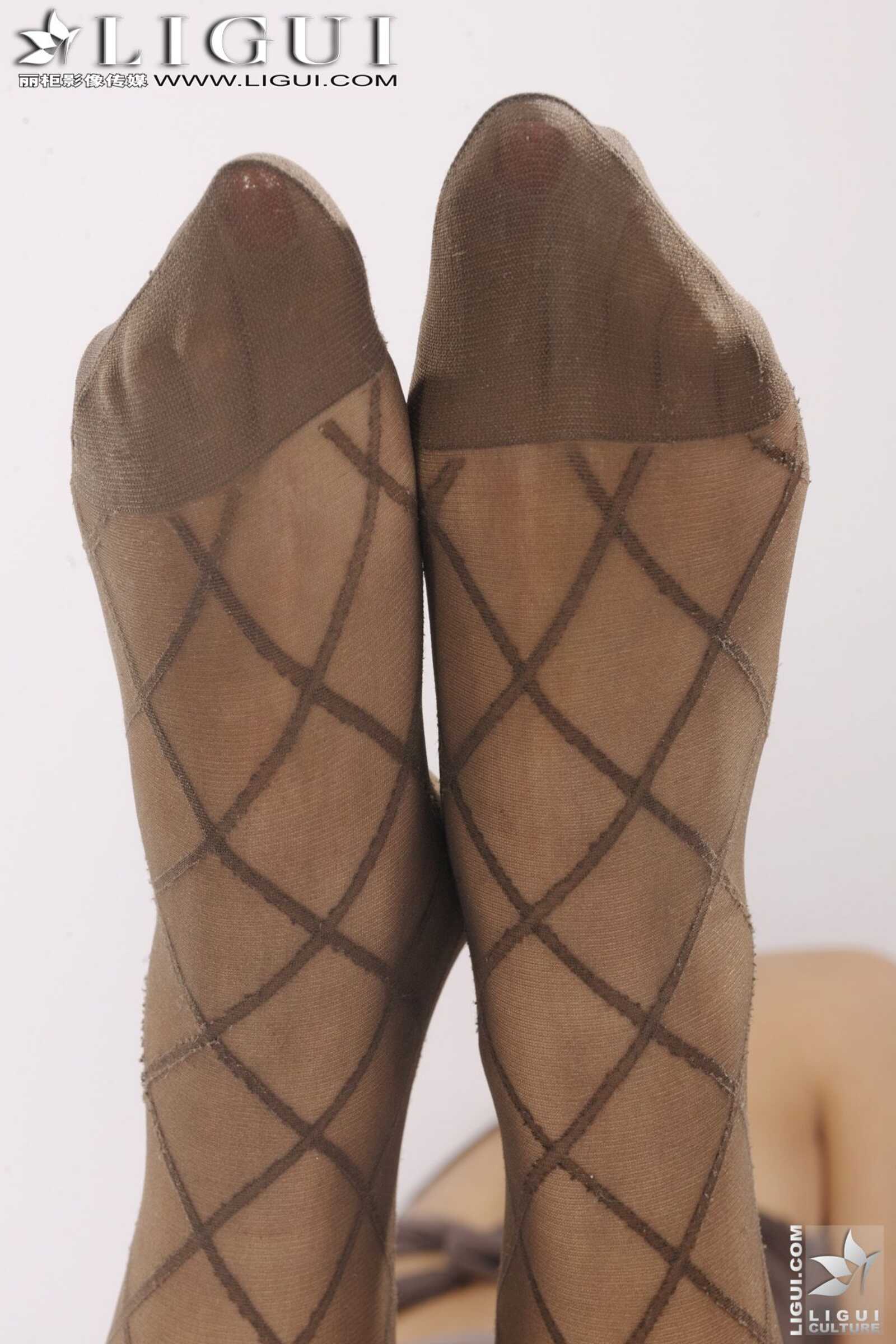 Model 田甜《网丝的诱惑》 [丽柜LiGui] 美腿玉足写第3张