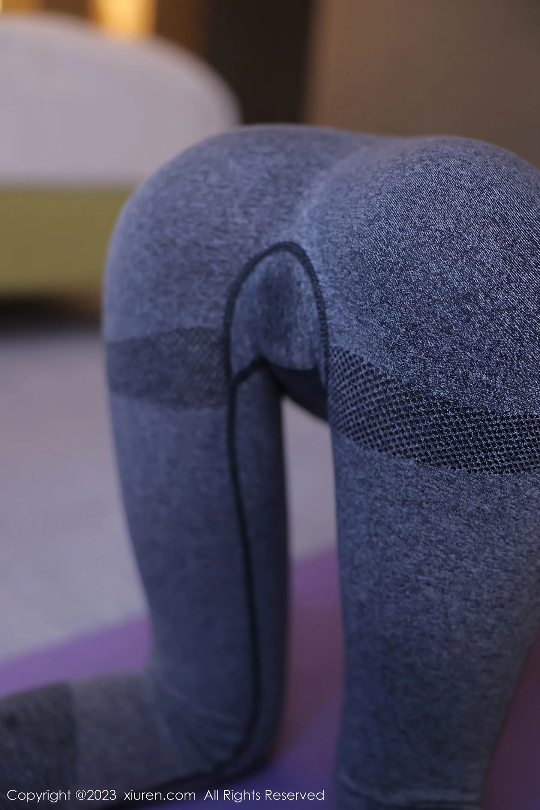 秀人网 No.6488 谢小蒽第4张