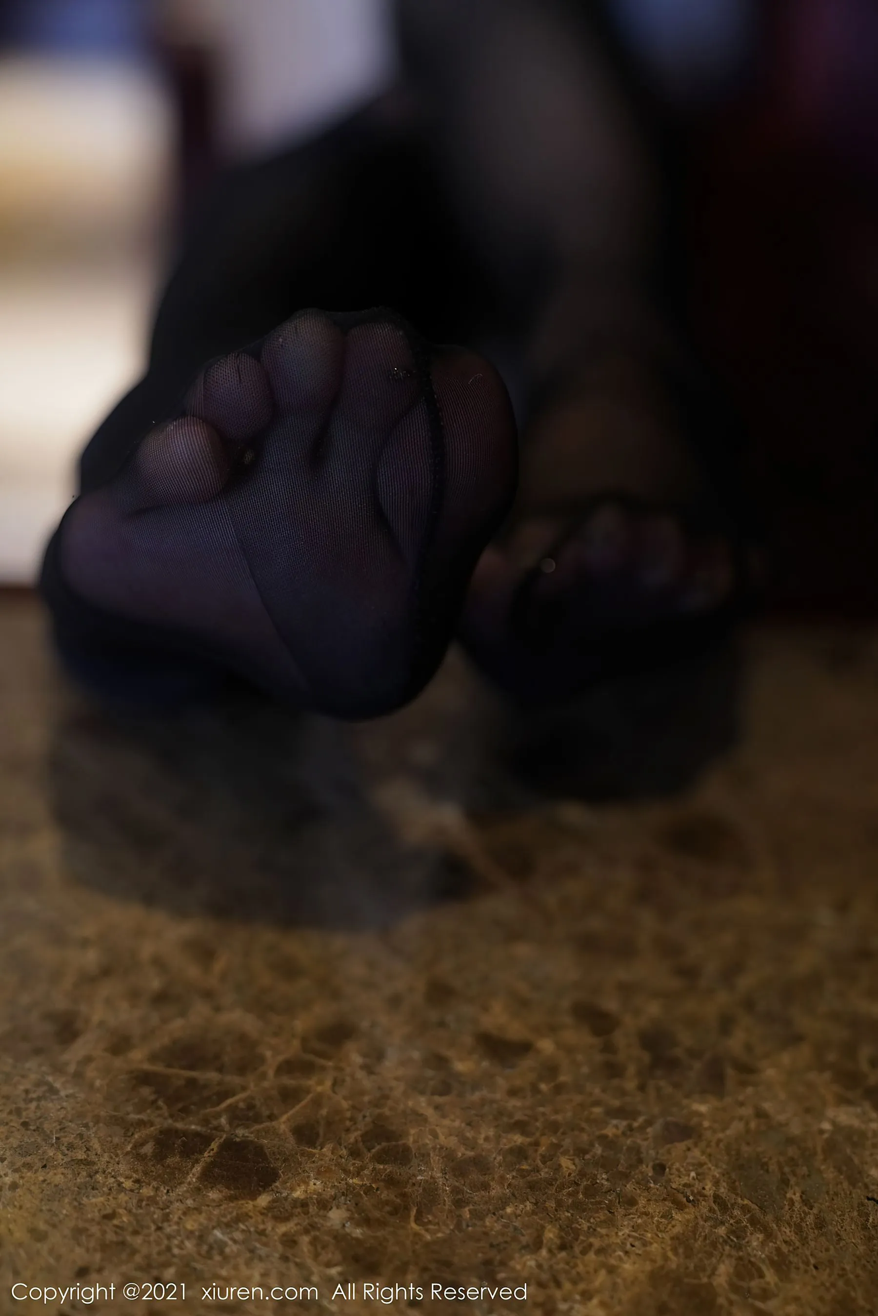 秀人 No.3207 果儿Victoria第10张