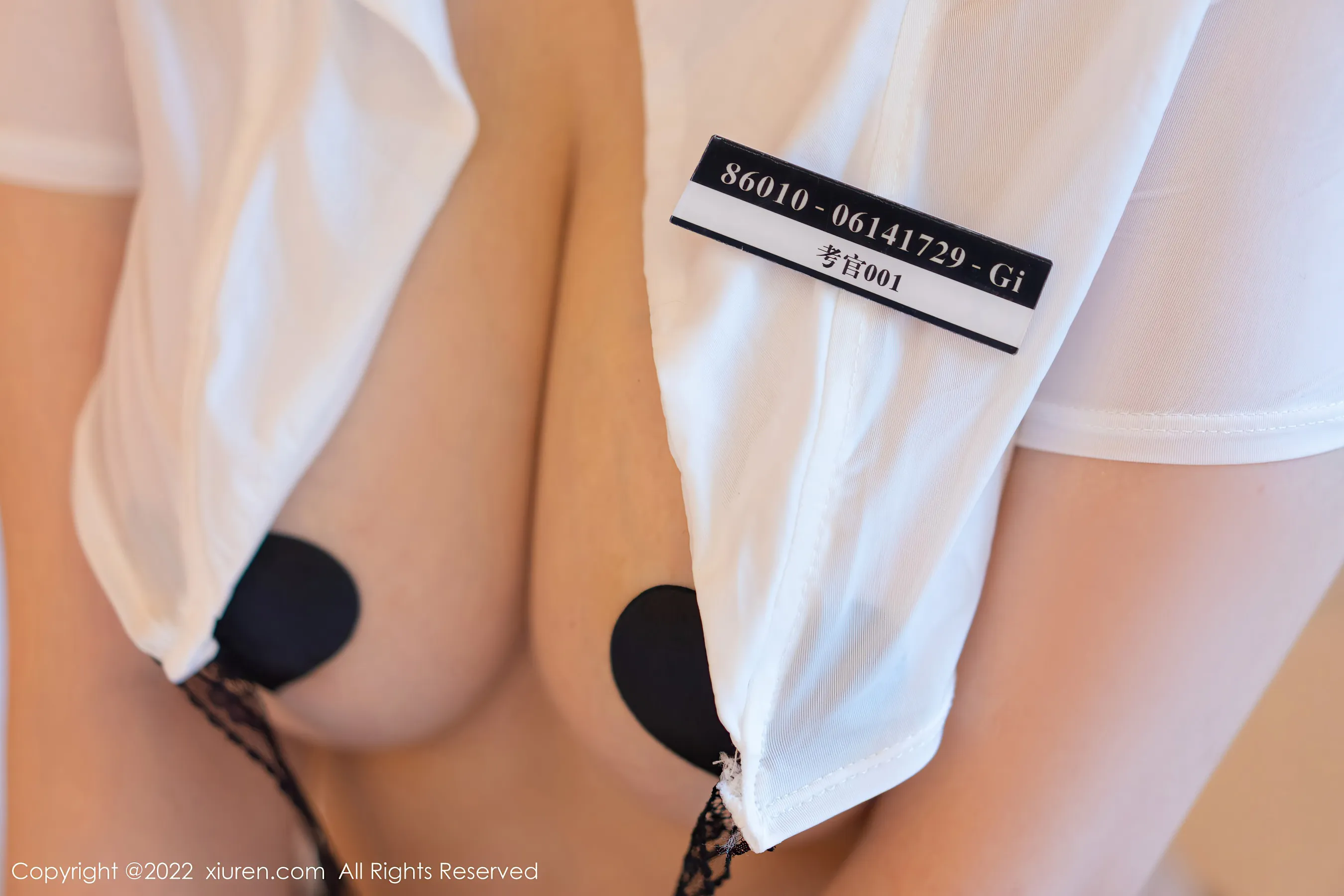 秀人网 No.4640 王雨纯 黑丝御姐三亚旅拍第11张