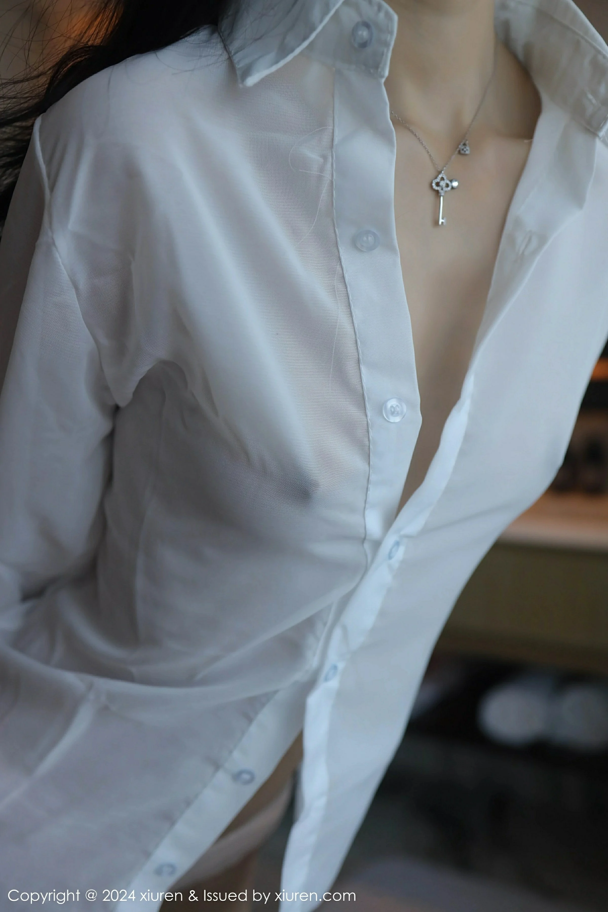  XiuRen 秀人 No.9251 林好好 新人模特 [67P]第13张