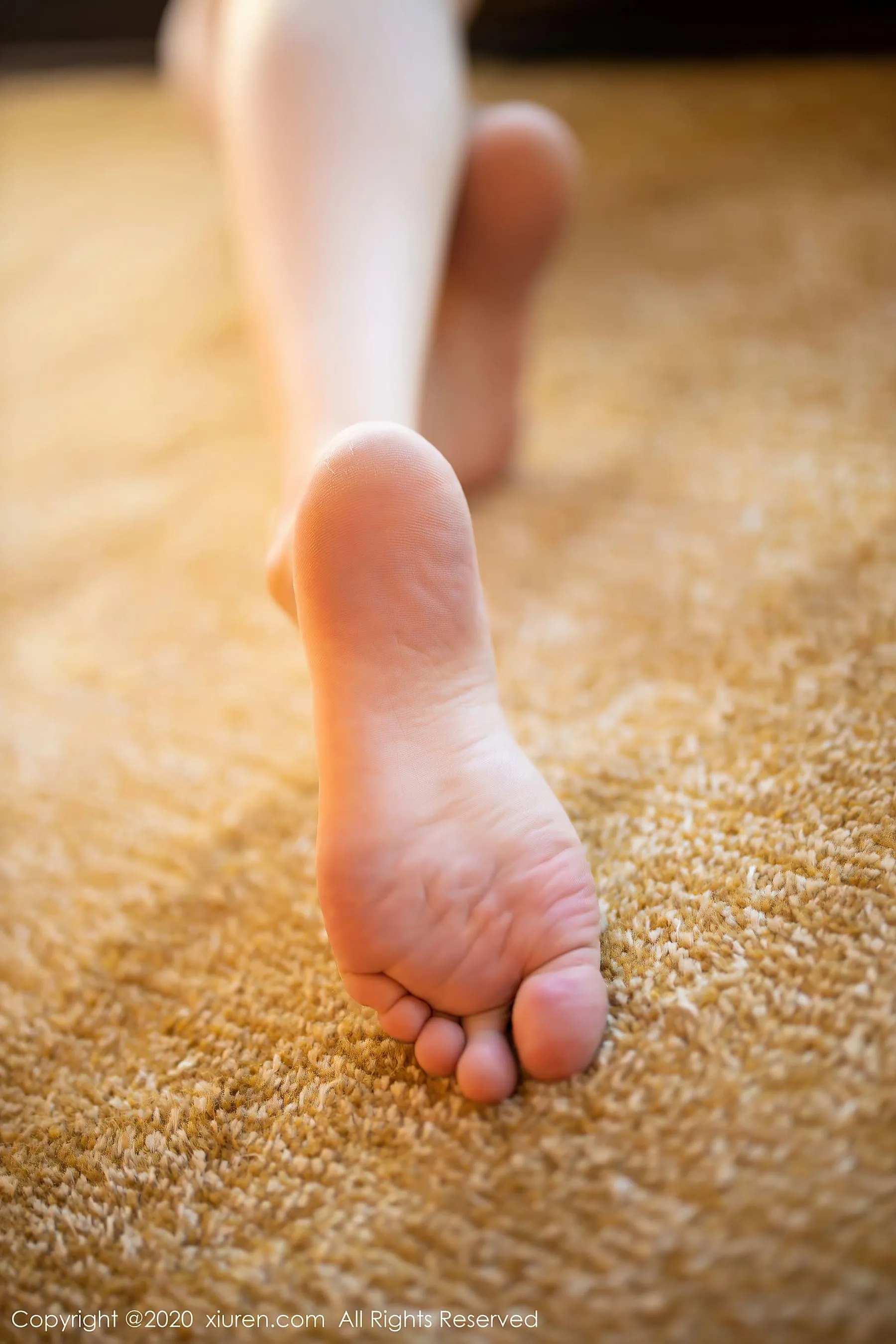 秀人 No.2507 梦心月第14张