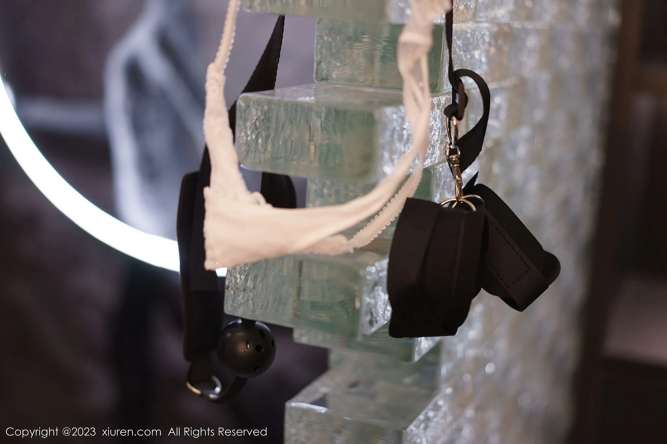 秀人网 No.6206 icy猪第22张