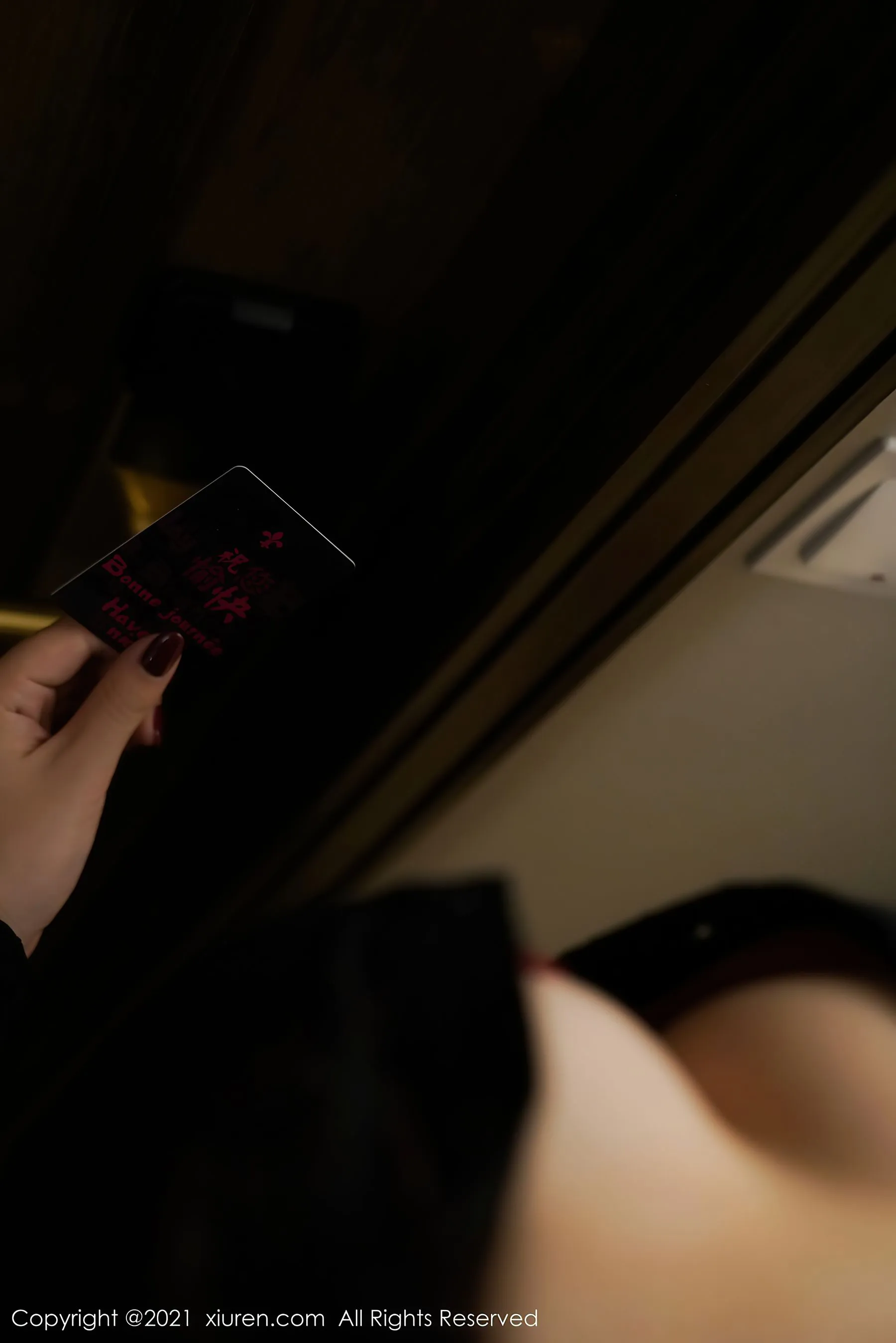 秀人 No.3011 芝芝Booty第9张