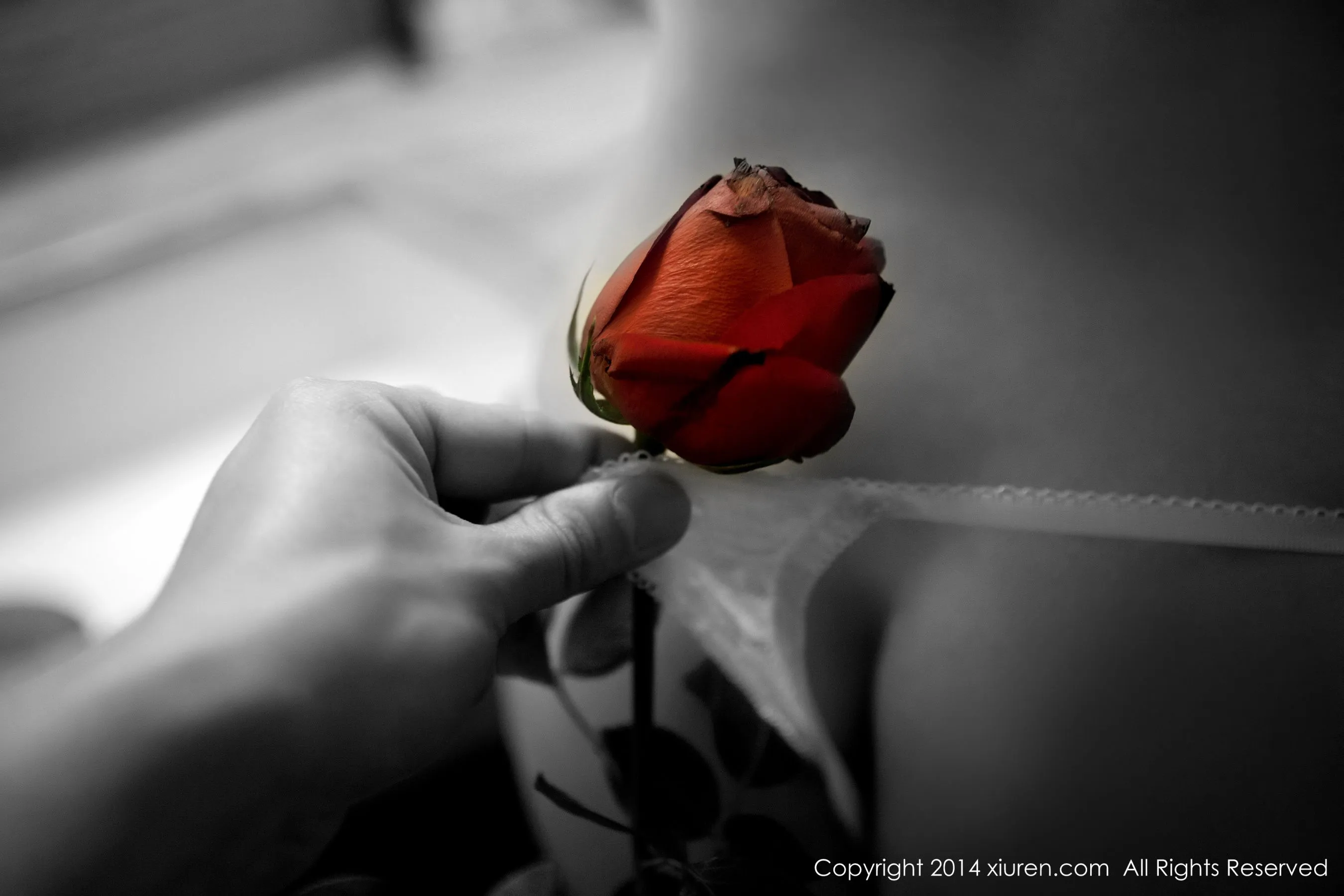 杨依《情人节套图》 秀人网 No.104第18张