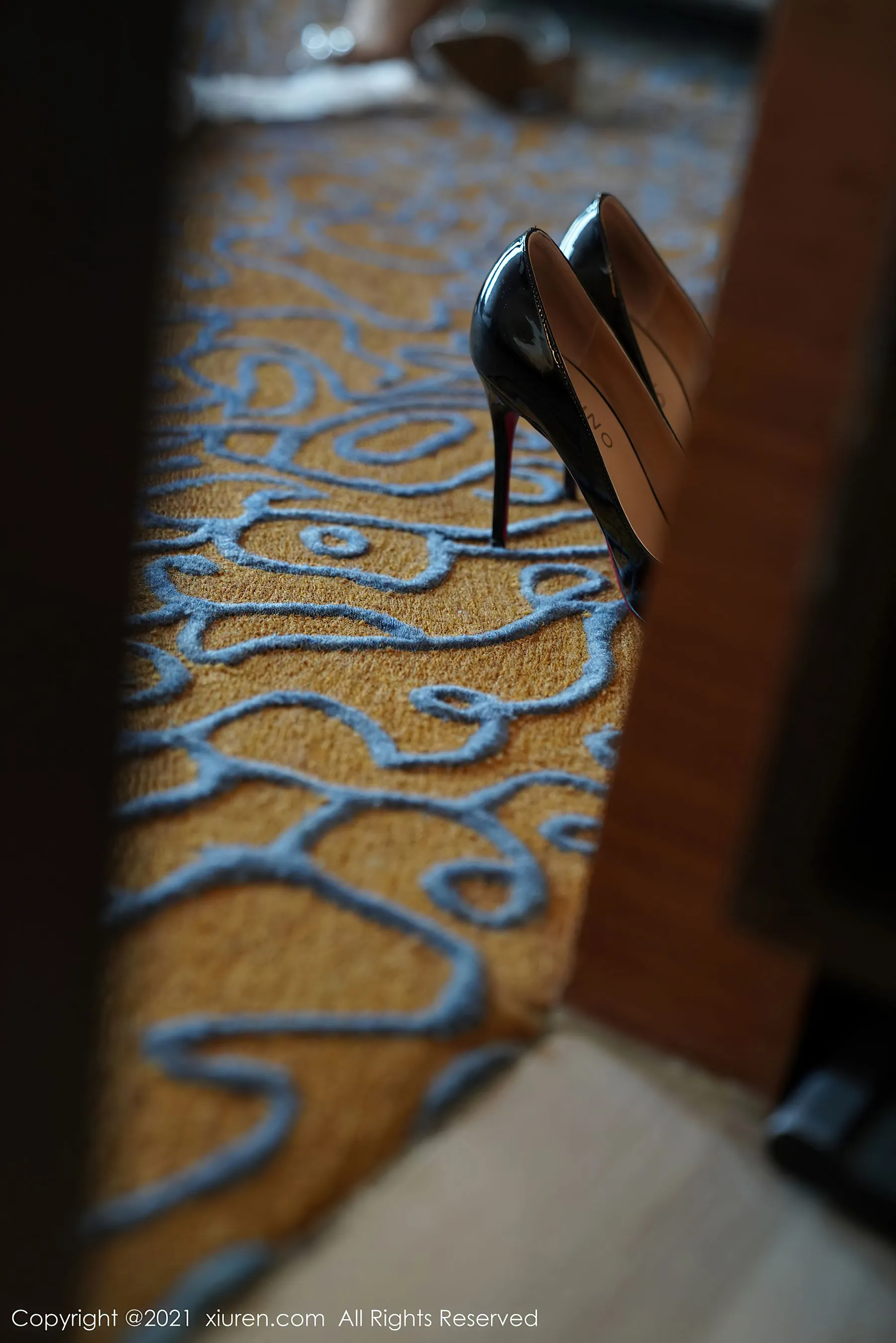 秀人 No.3719 果儿Victoria第17张