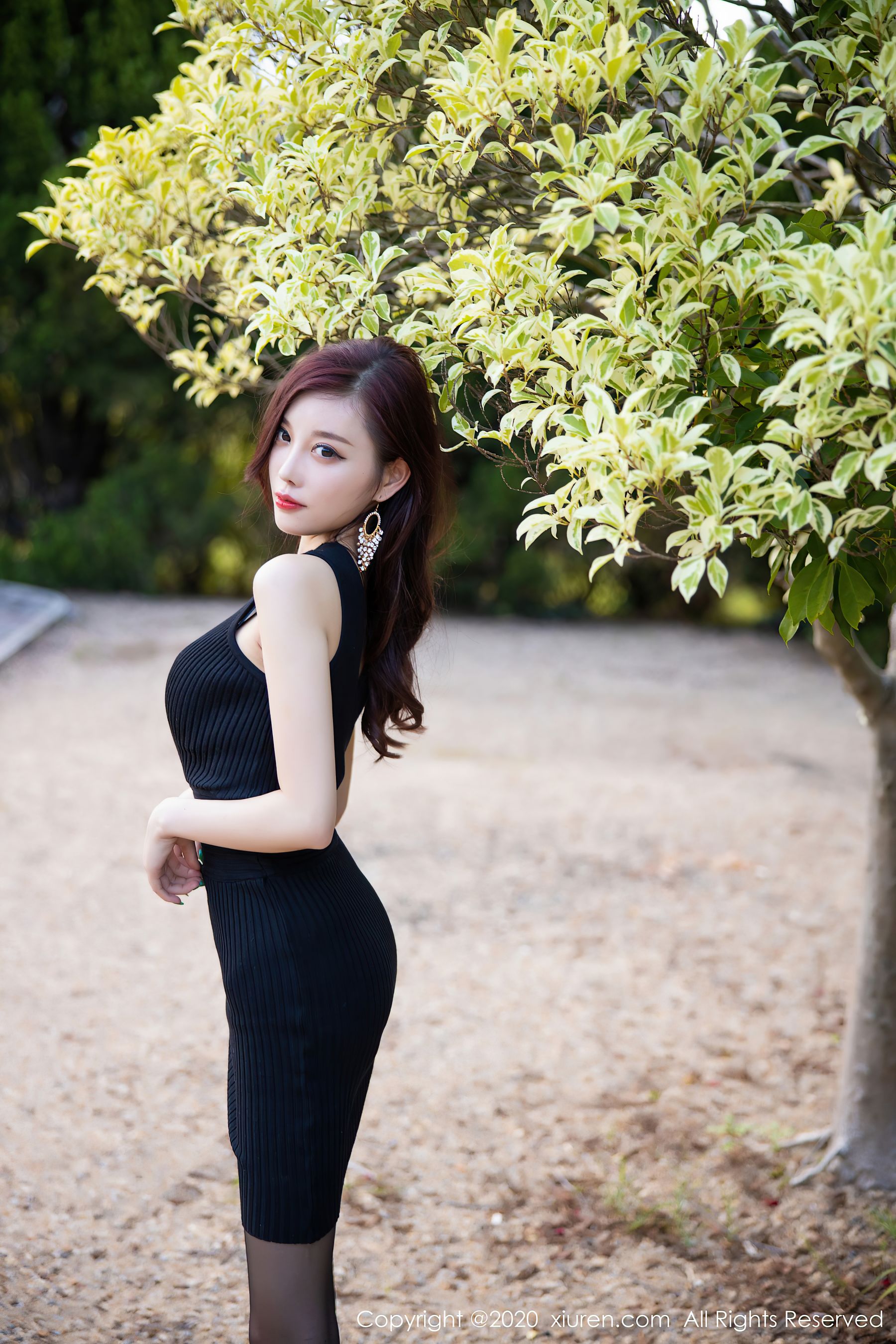 秀人 No.2648 杨晨晨sugar第25张