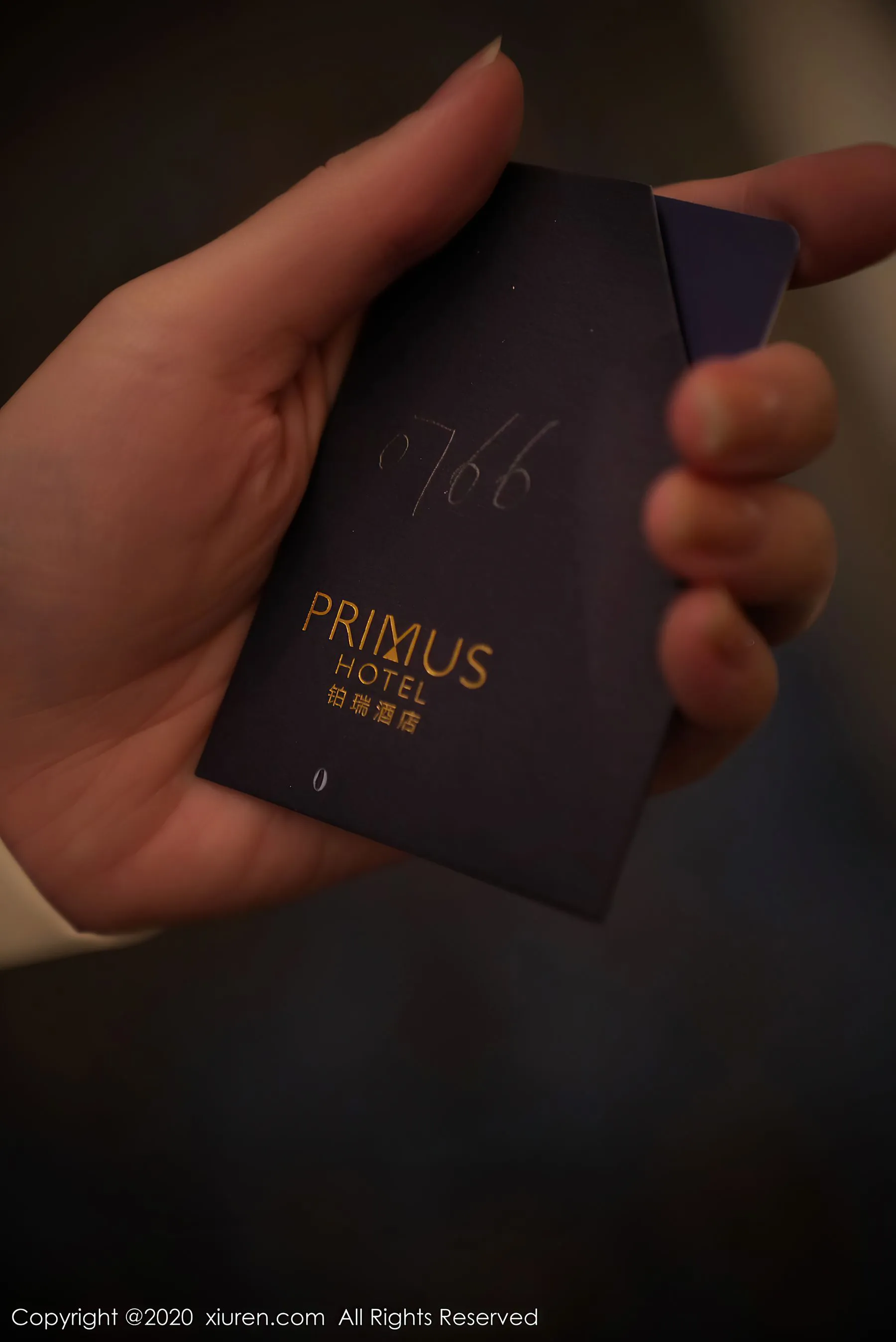 秀人 No.2722 周于希Sandy第11张