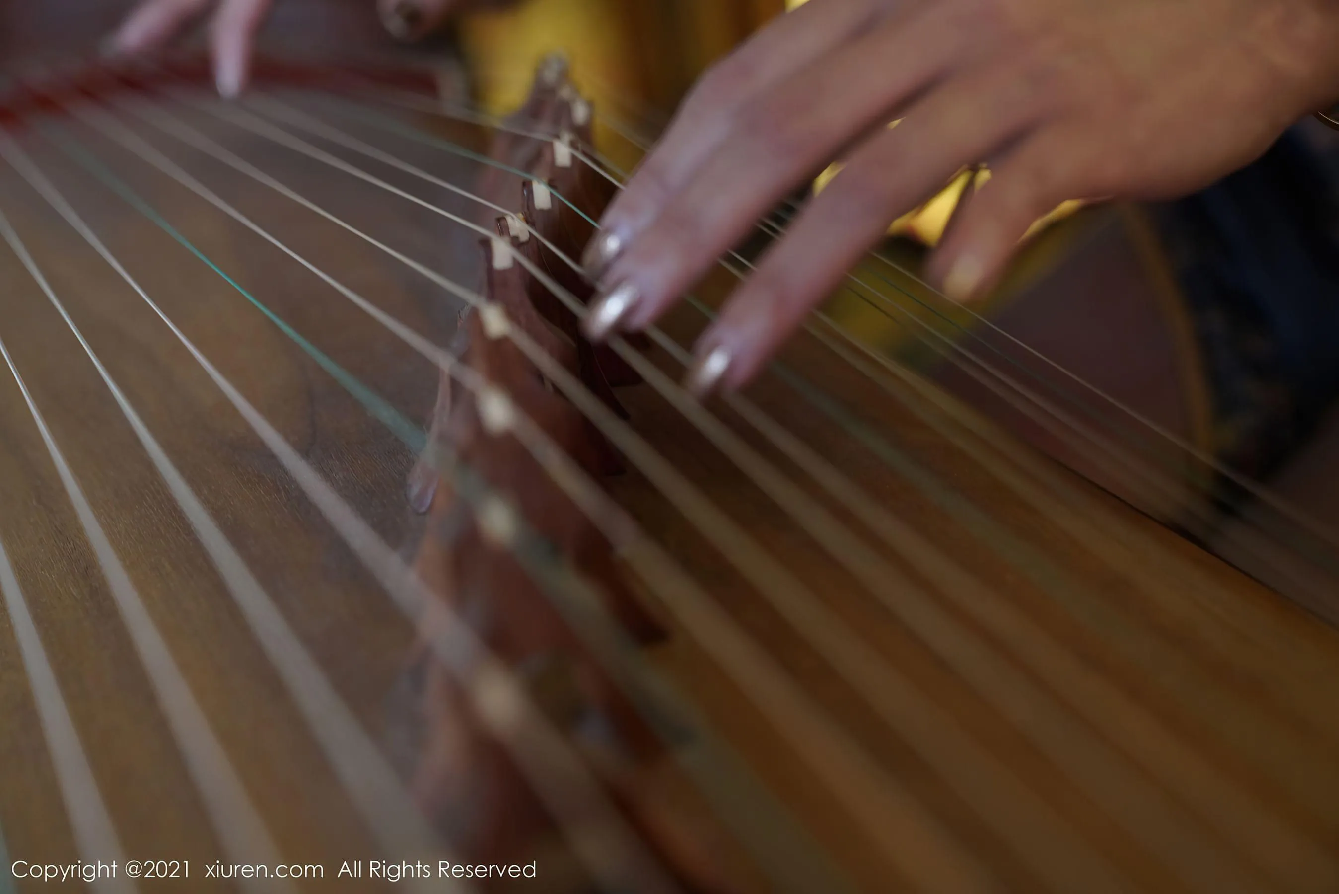 秀人 No.3263 果儿Victoria第16张