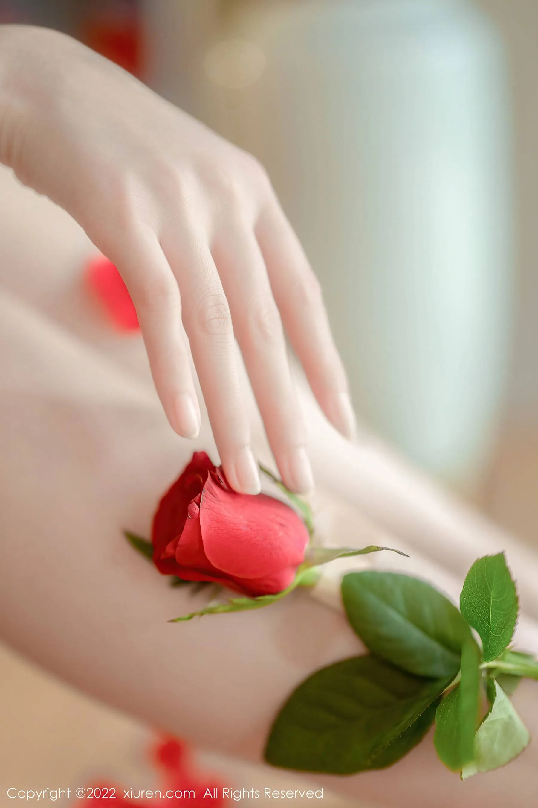 秀人网 No.5875 婠婠么第18张