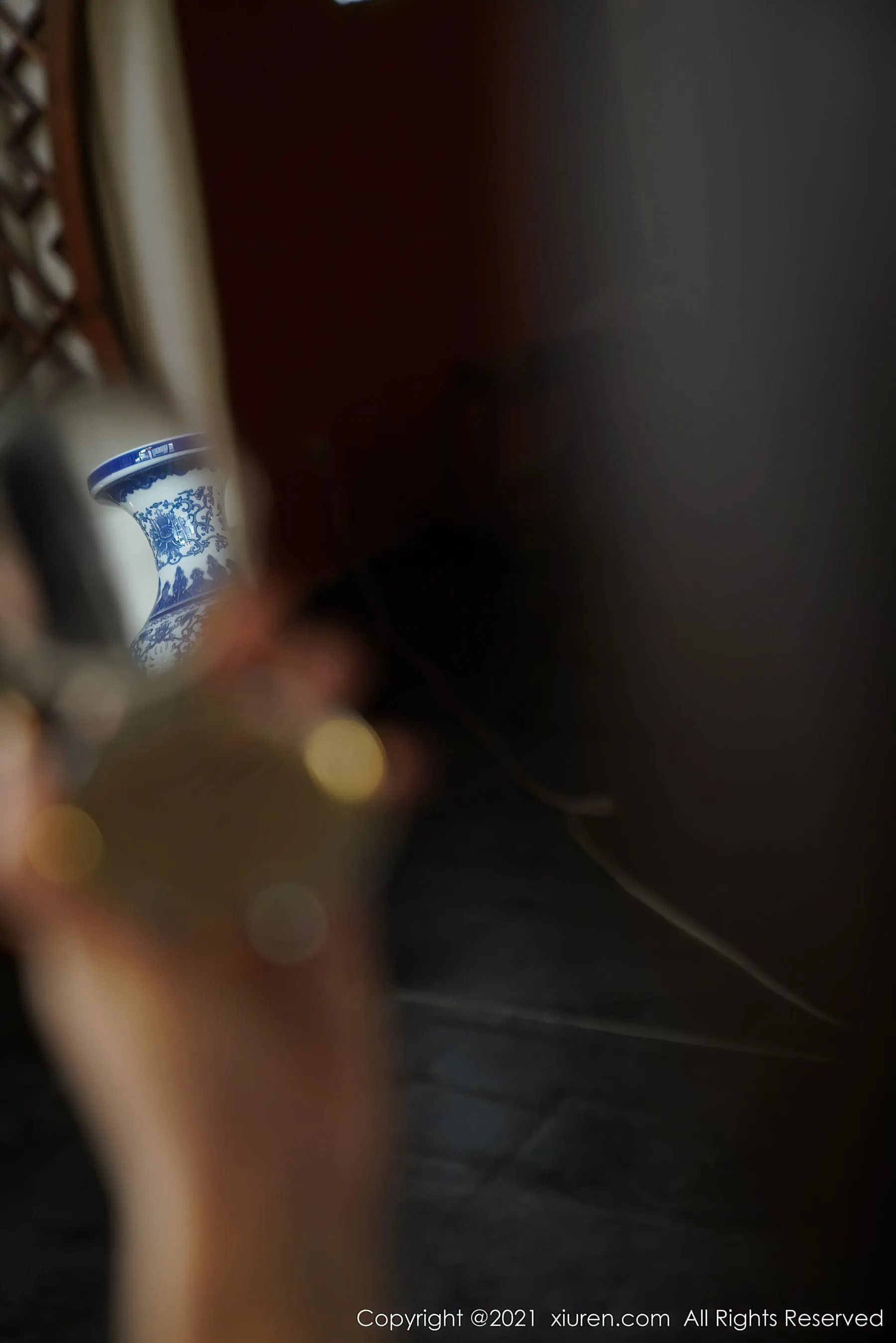 秀人 No.3263 果儿Victoria第15张