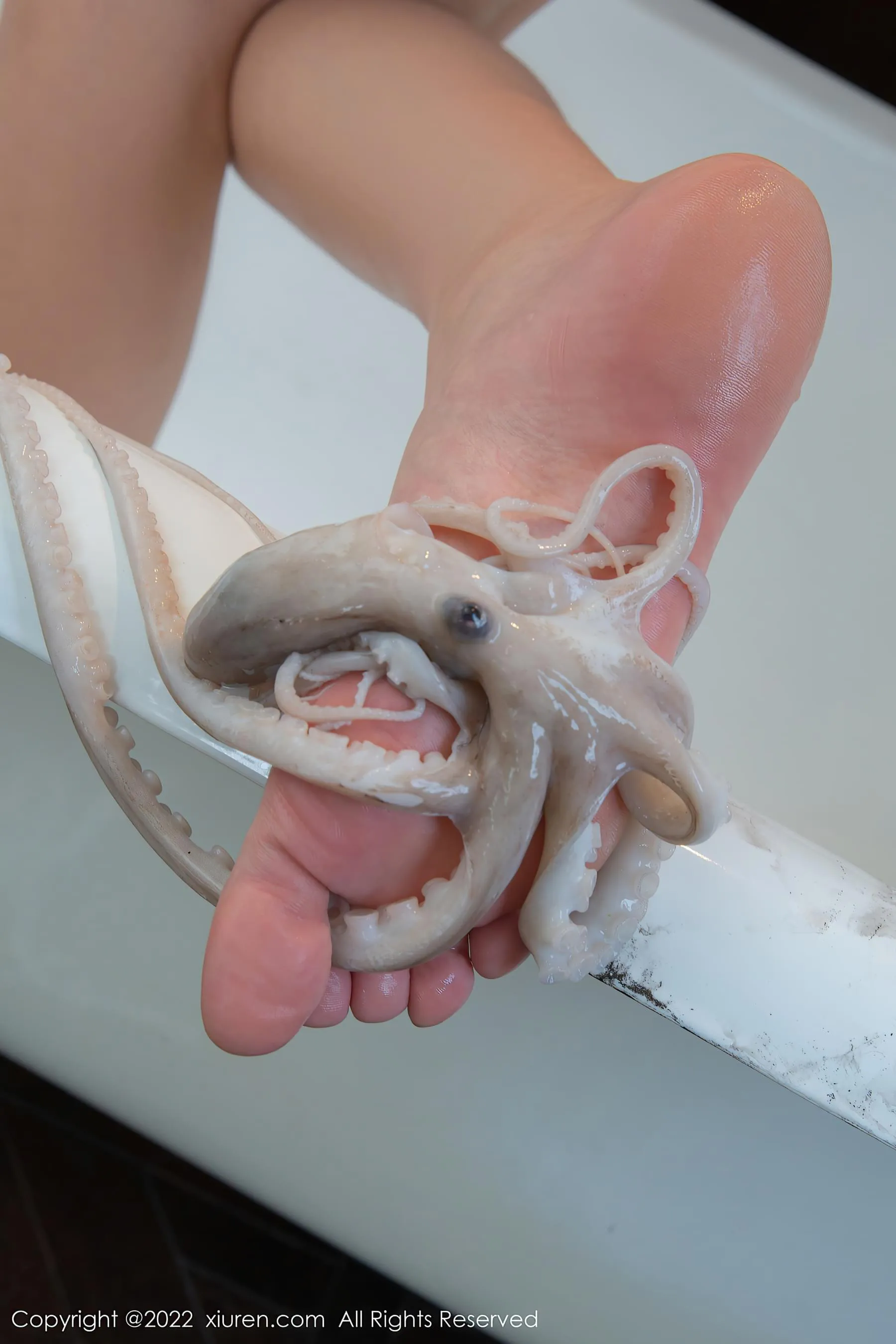 秀人网 No.5186 就是阿朱啊第11张