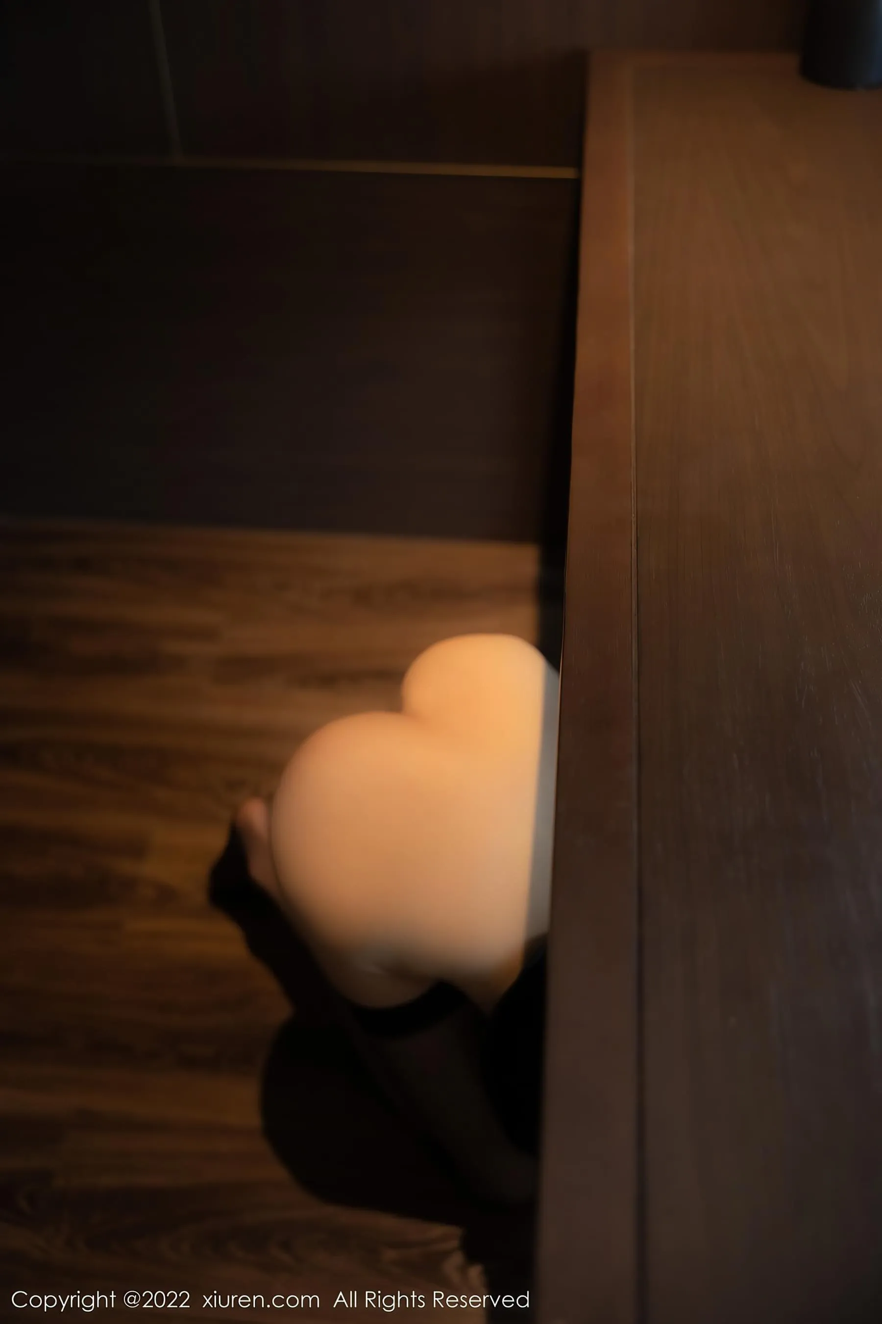 秀人网 No.5228 77qiqi第7张