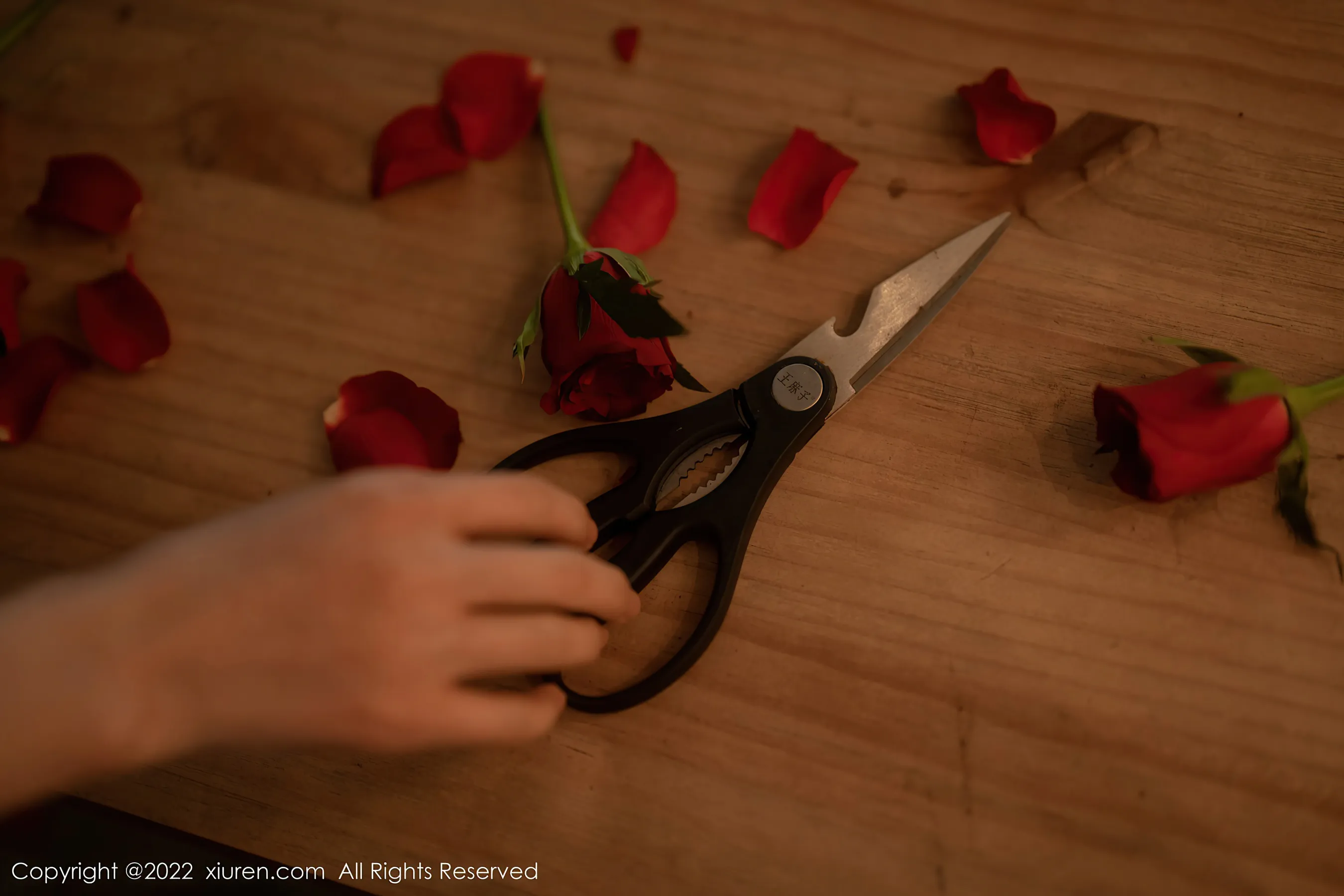 秀人网 No.5552 婠婠么第6张