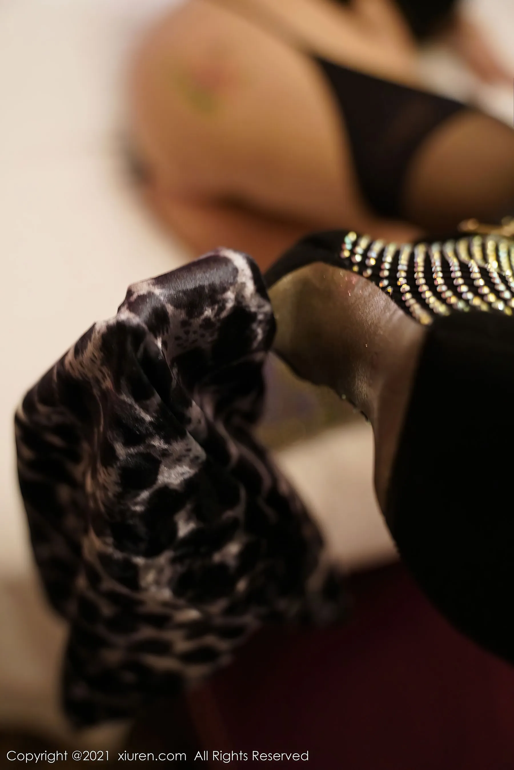 秀人 No.3067 果儿Victoria第15张