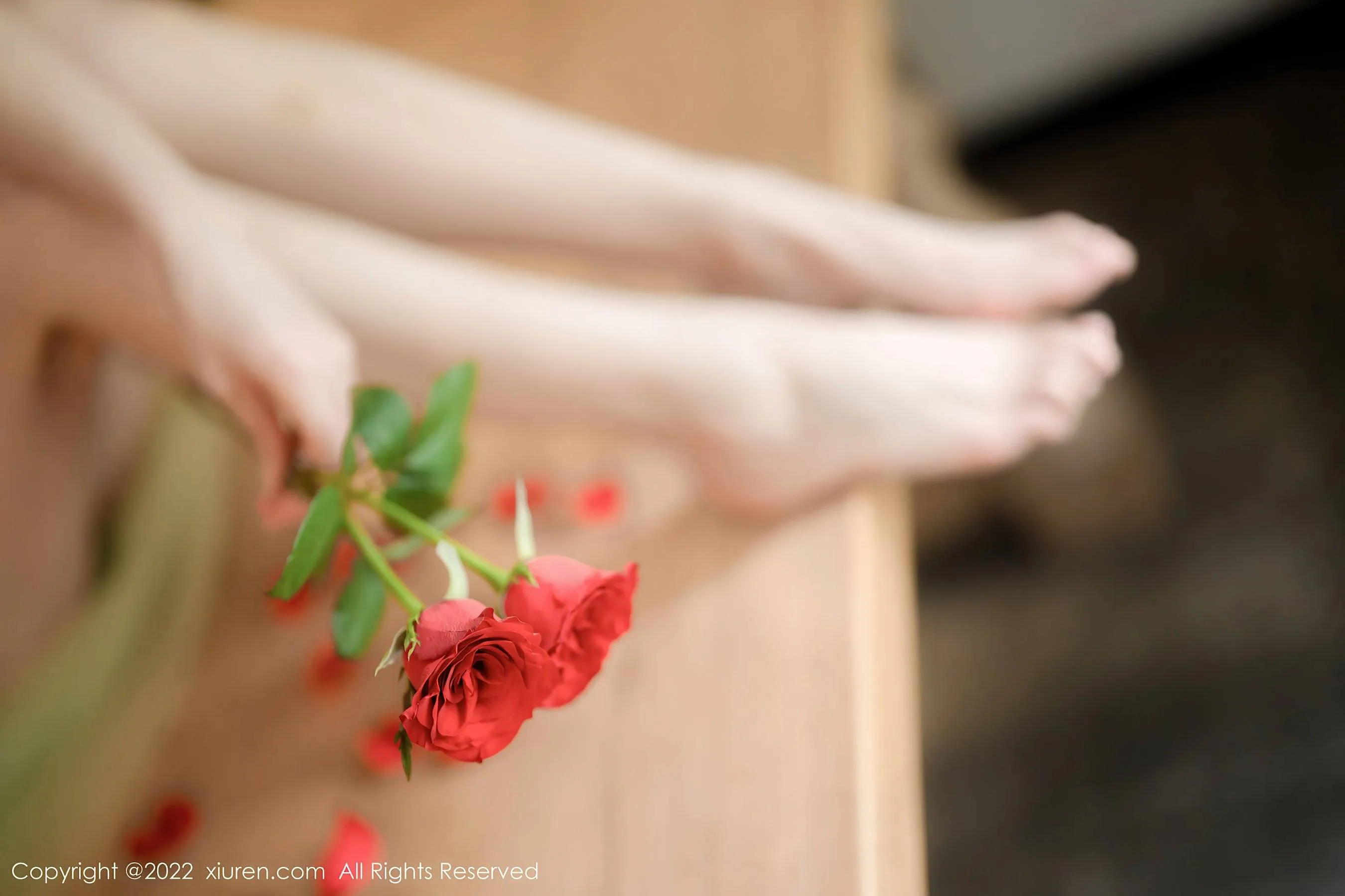 秀人网 No.5875 婠婠么第17张