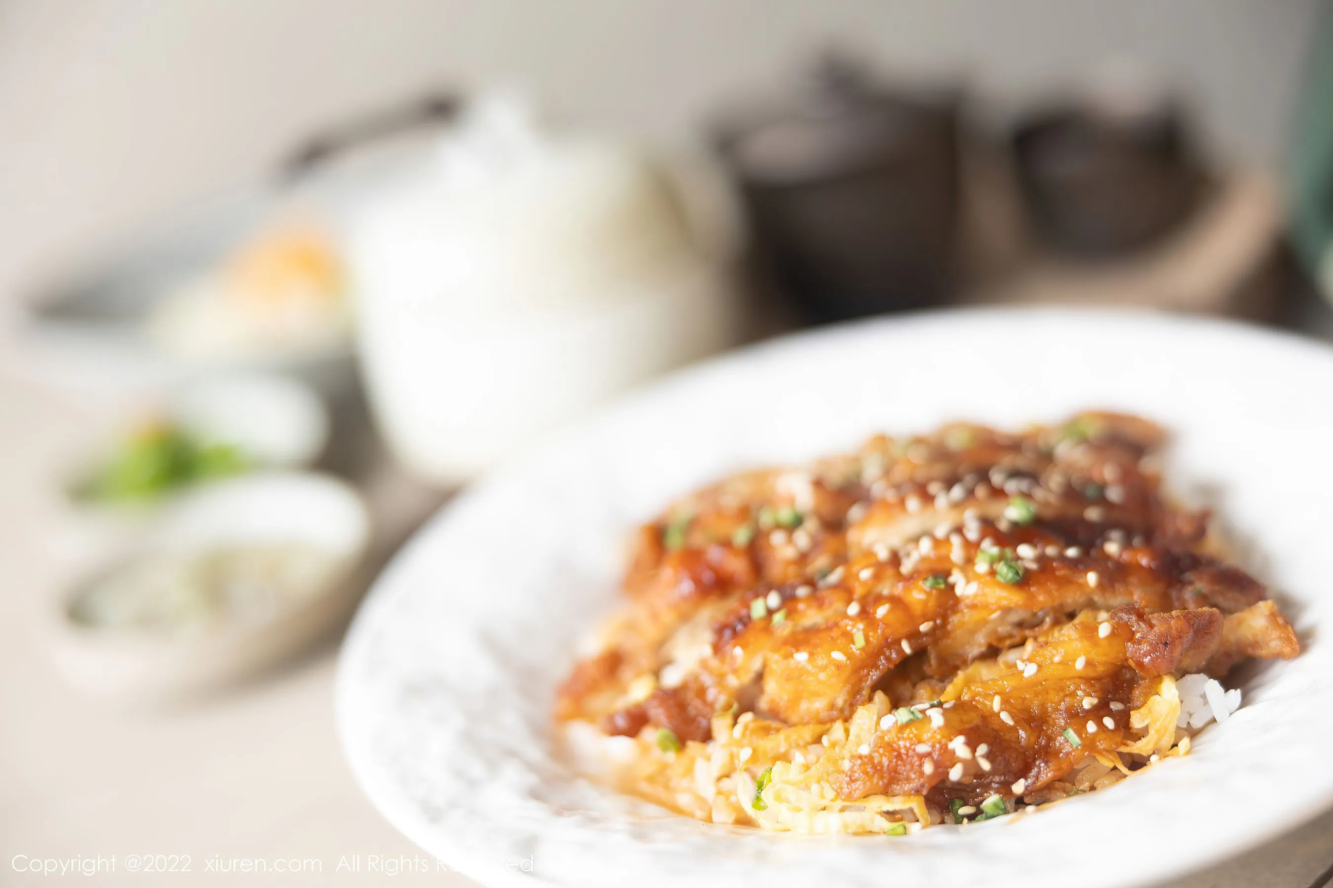 秀人网 No.5256 小果冻儿第29张