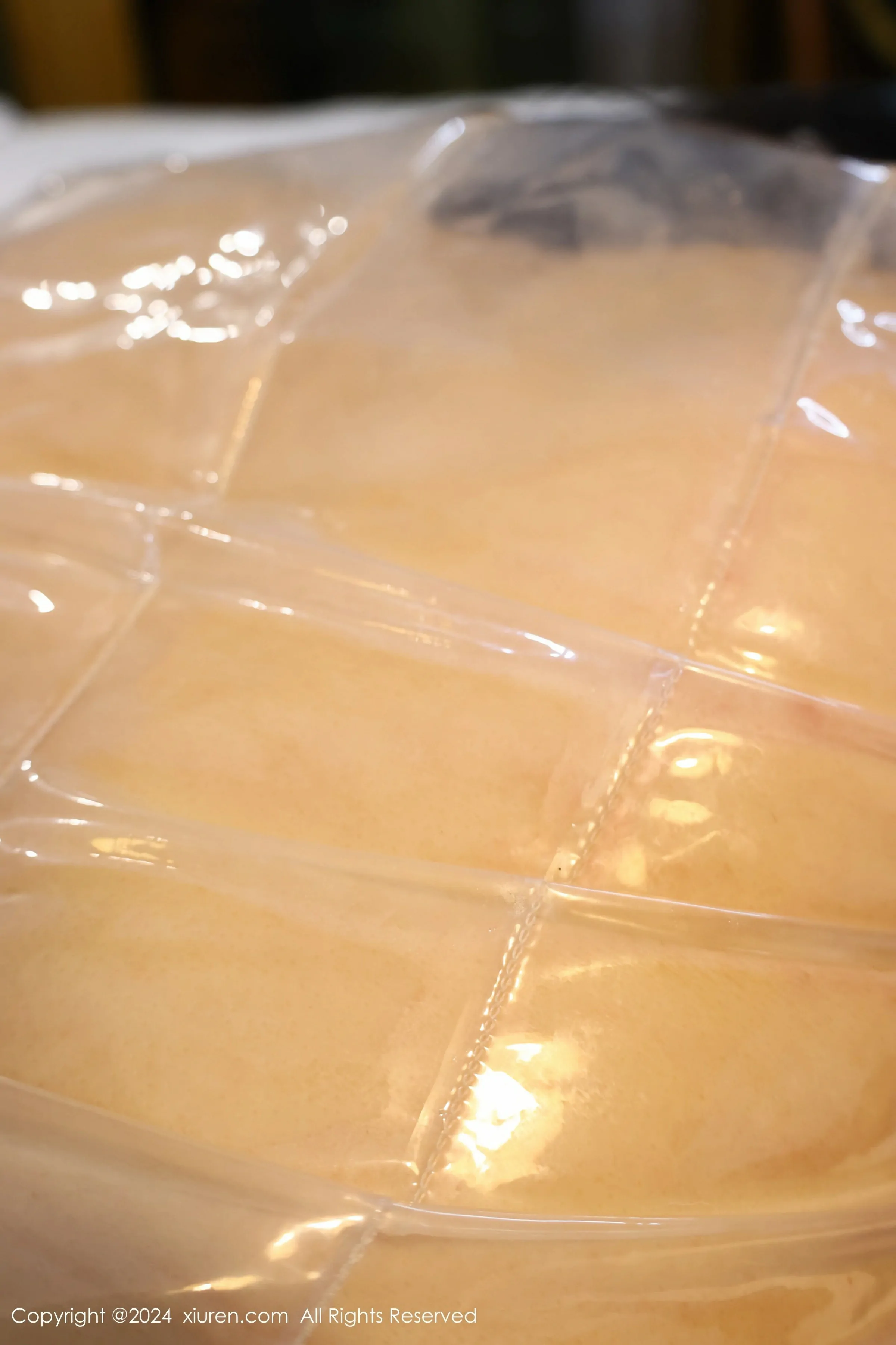  XiuRen 秀人 No.8517 小薯条nienie [78P]第25张