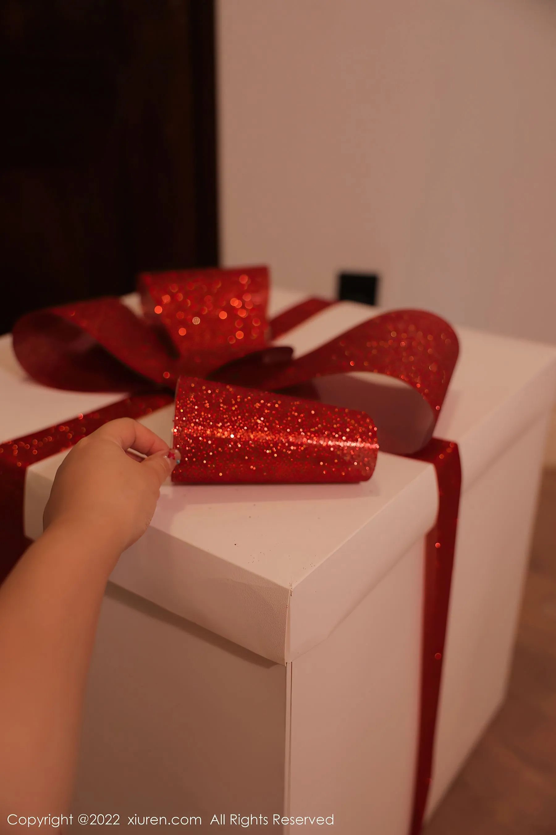  秀人网 No.6031 tina_甜仔第19张