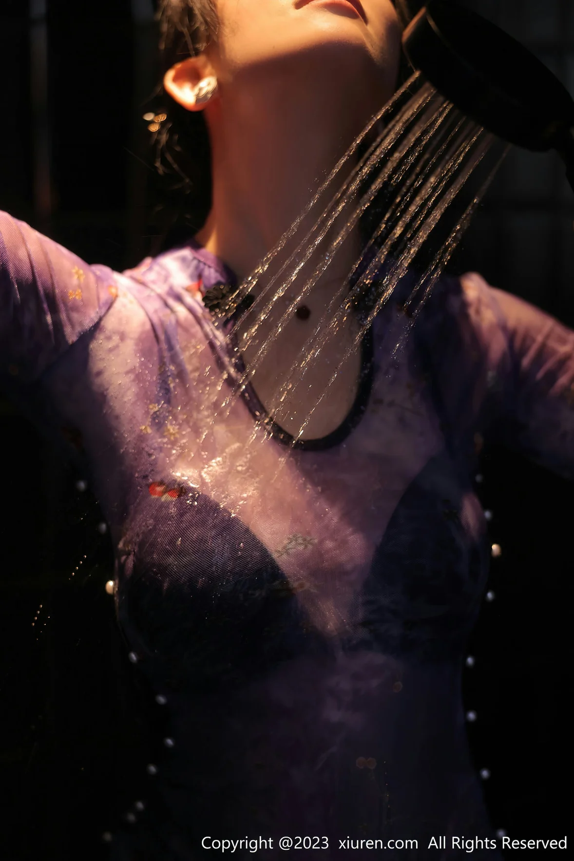  XiuRen 秀人 No.6876 司柠 湿身诱惑性感写真 [57P]第14张