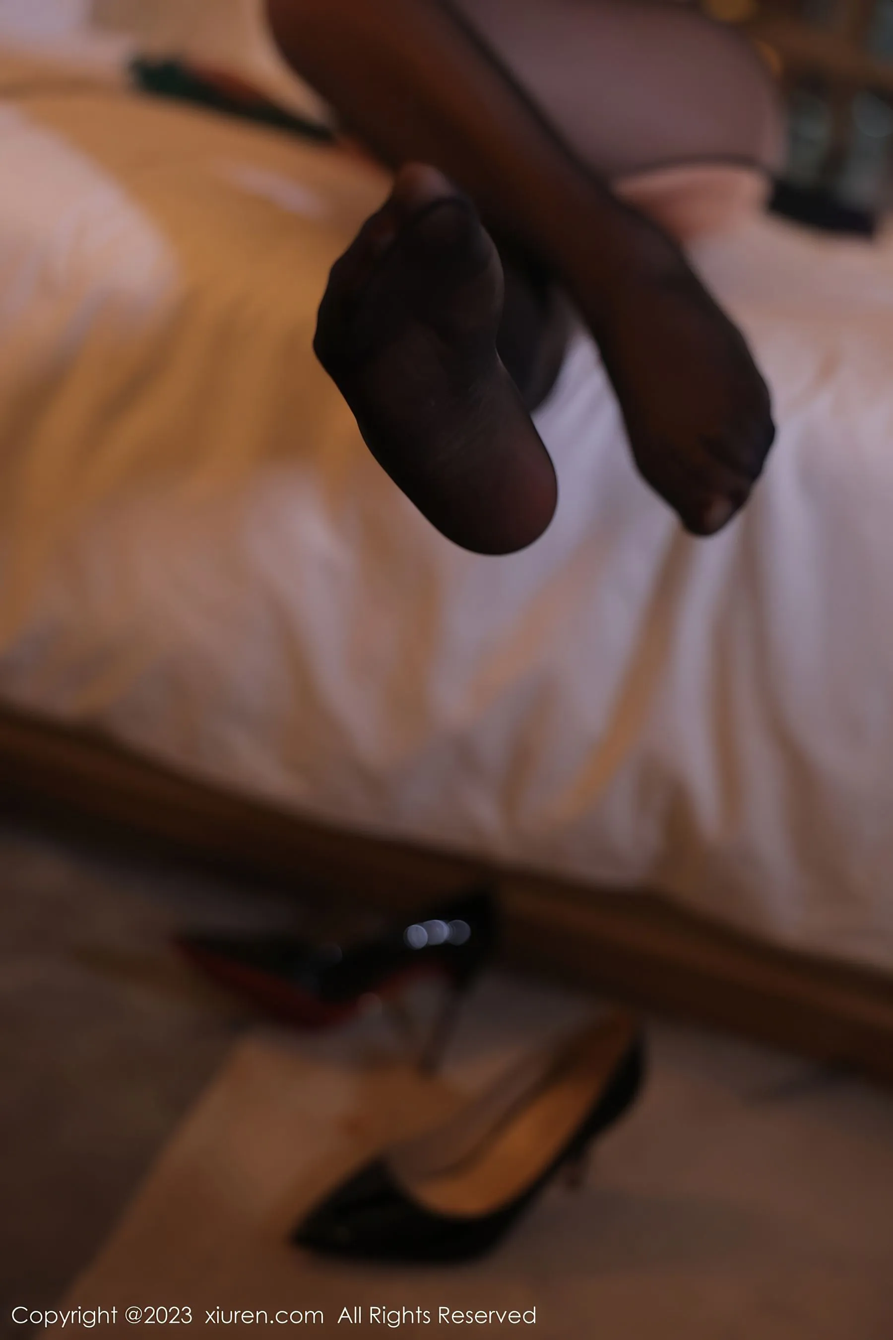 秀人网 No.6797 田冰冰 黑丝美臀第14张