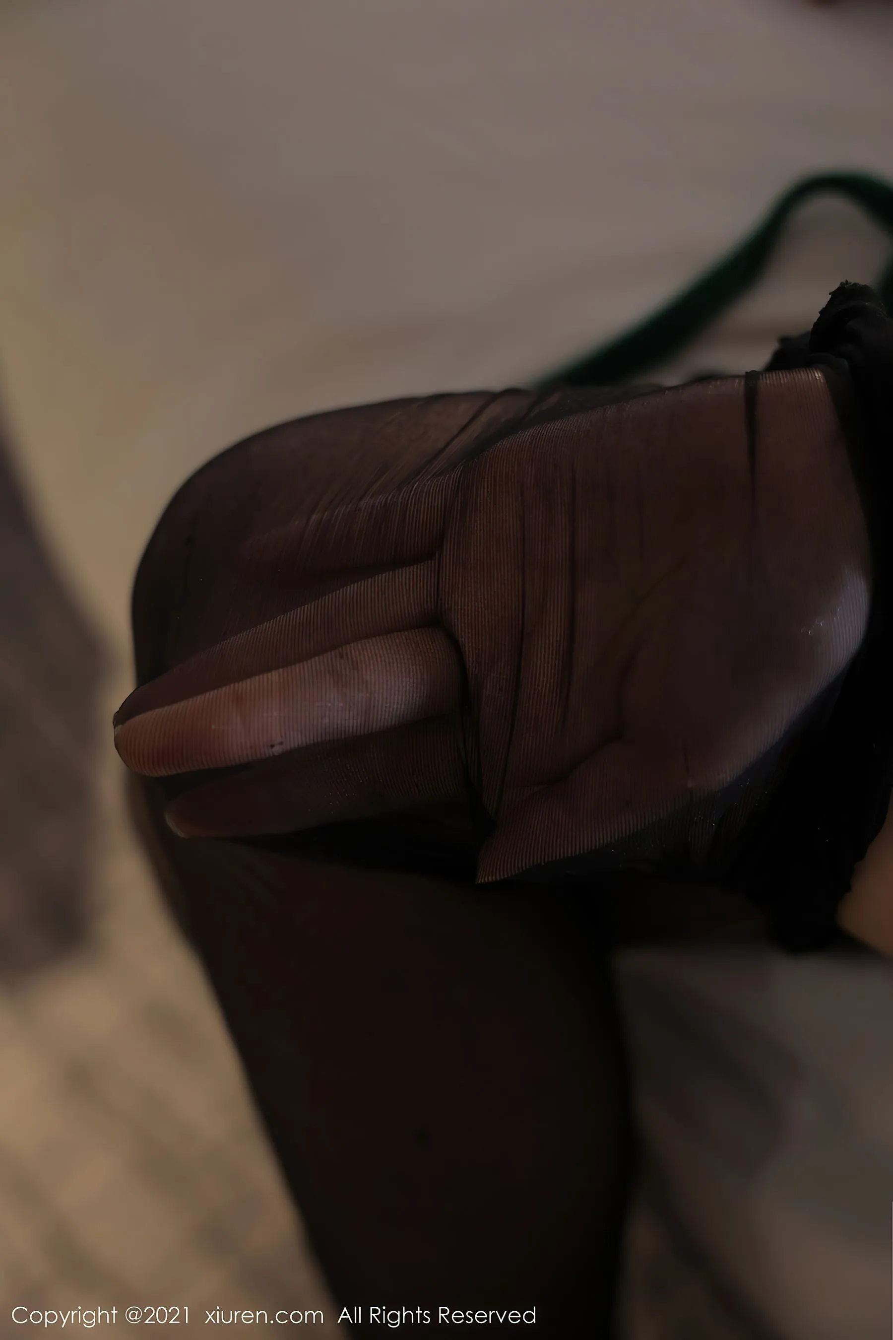 秀人 No.4358 月音瞳第28张