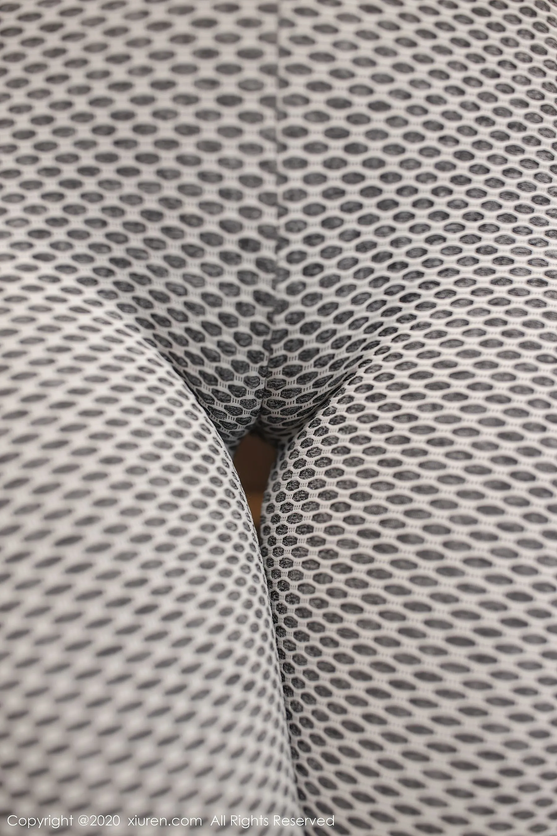 秀人 No.2871 鱼子酱Fish第7张