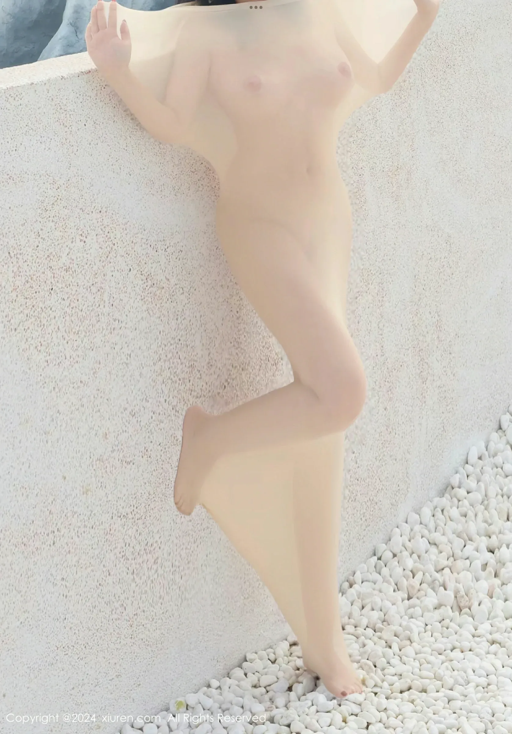  XiuRen 秀人 No.9489 小薯条nienie [80P]第24张