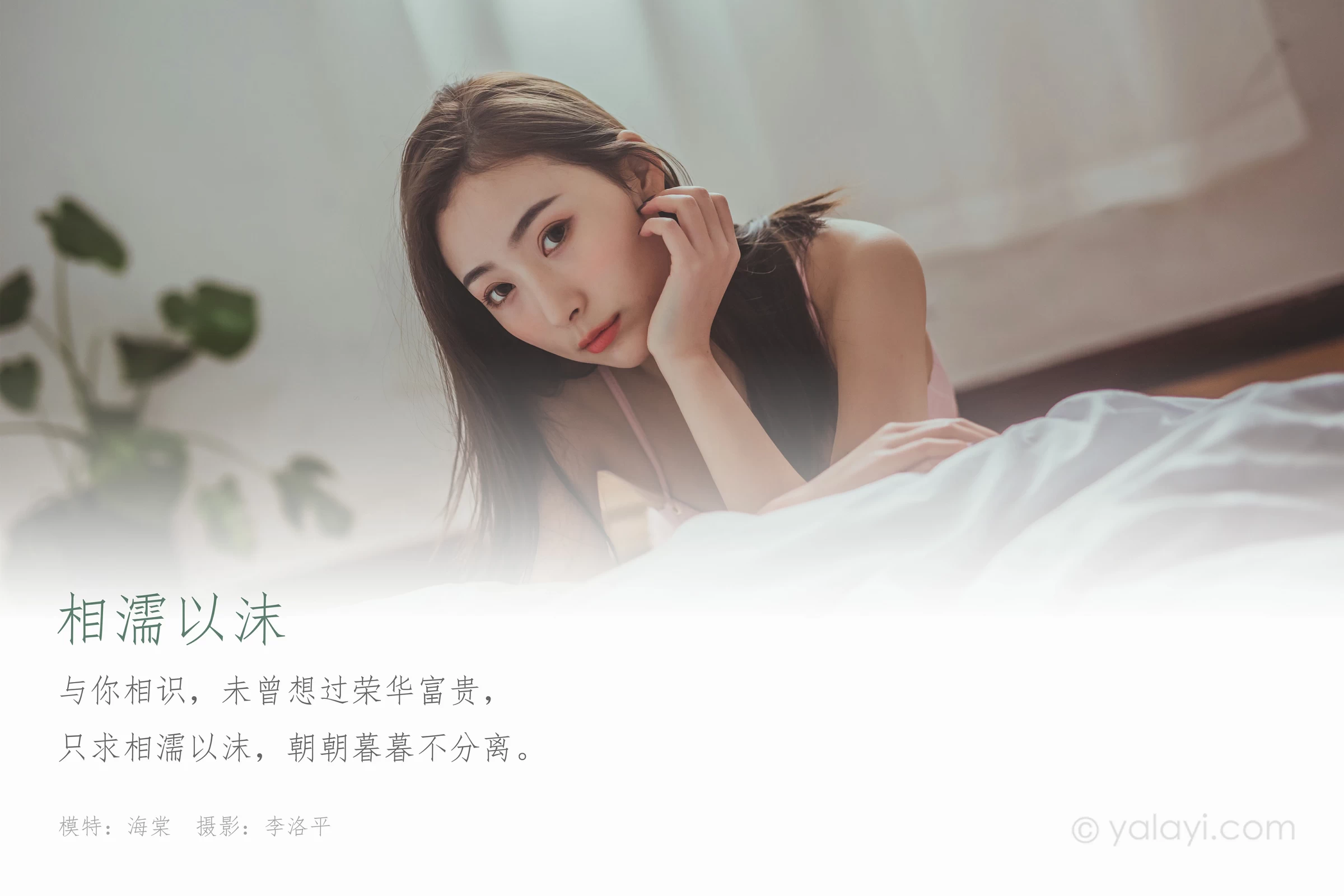[YALAYI雅拉伊]NO.664 《相濡以沫》 海棠 粉色内衣性感私房写真集第1张