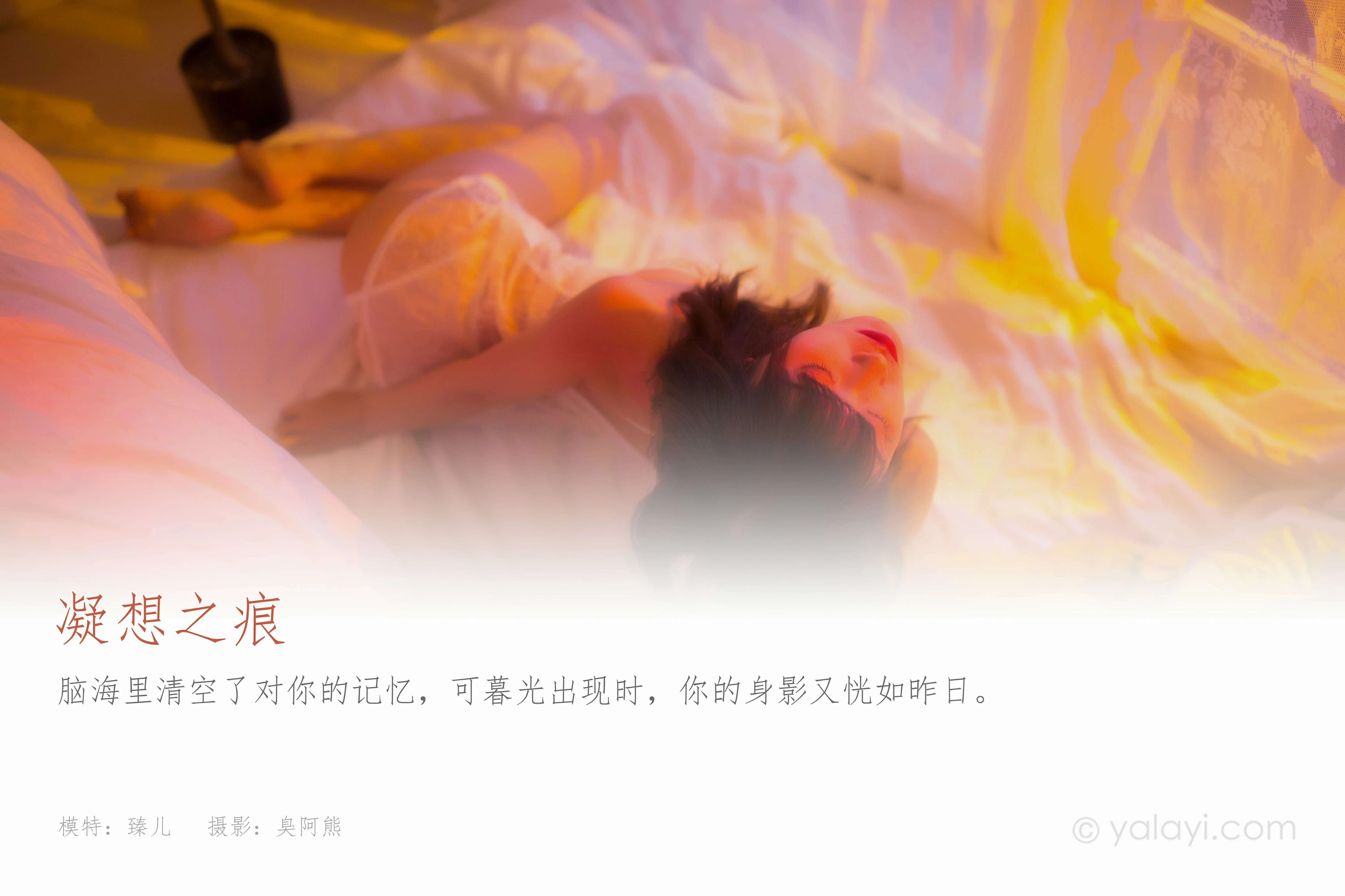 [YALAYI雅拉伊]NO.779 凝想之痕 臻儿 白色透视情趣蕾丝内衣性感私房写真集第1张